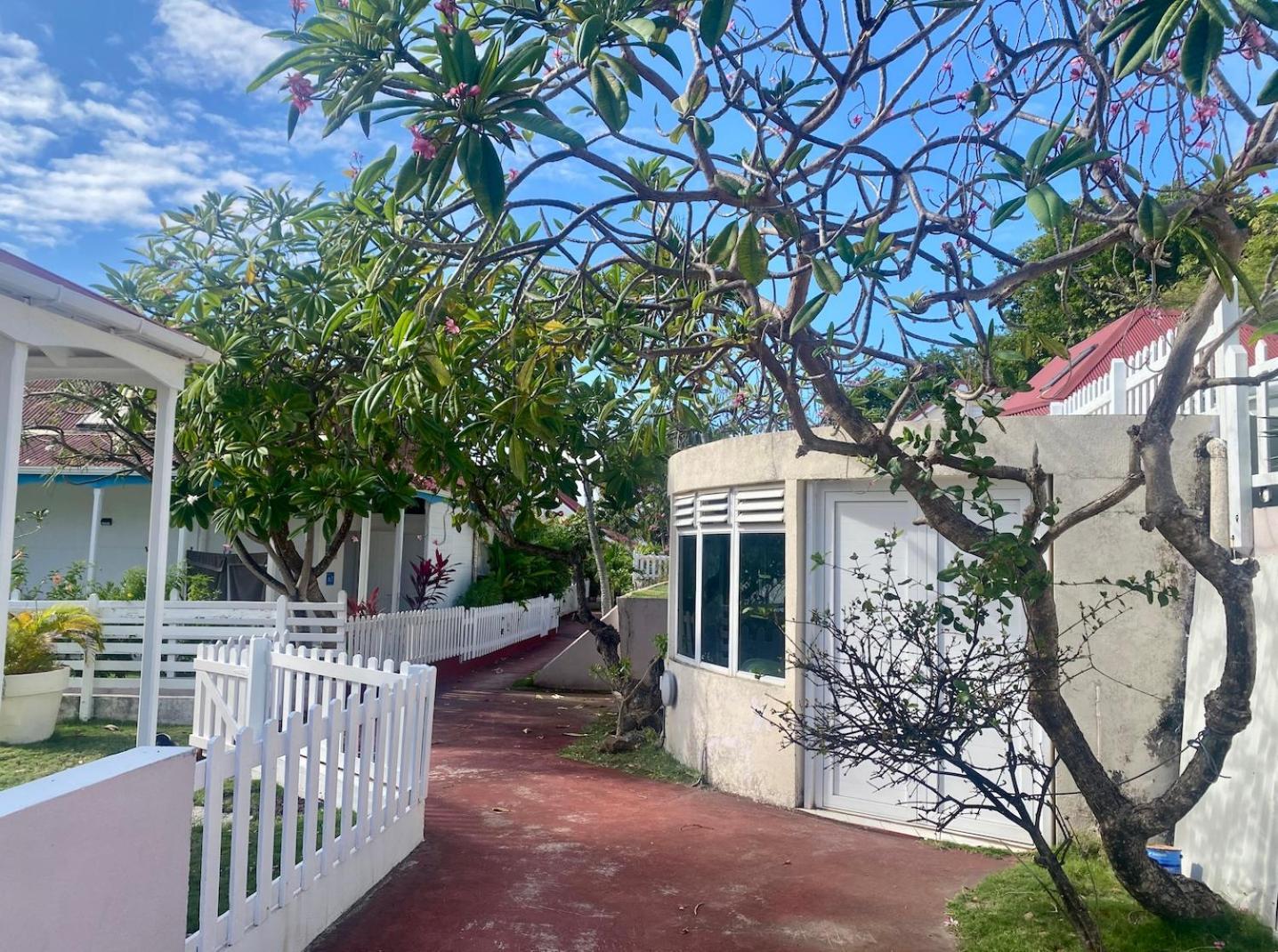 Bungalow Anolis Face A La Mer A 2 Min De La Plage. Terre-De-Haut Exterior foto
